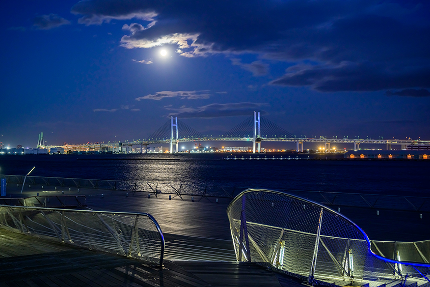 Osanbashi Yokohama International Passenger Terminal：2